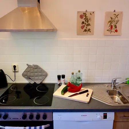 110 Qm Stadtvilla - Dem Tor Zum Harz Appartement