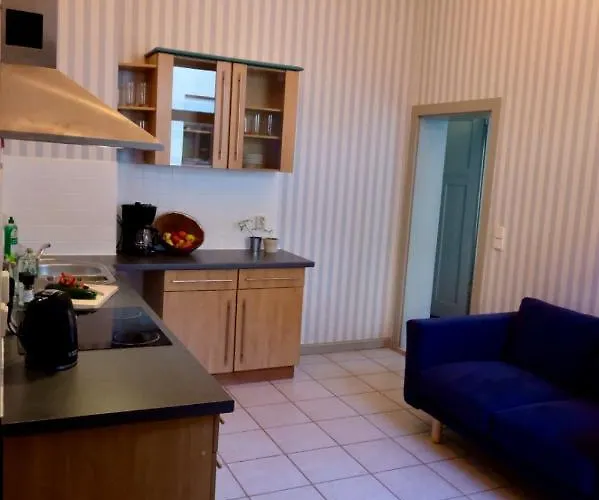 110 Qm Stadtvilla - Dem Tor Zum Harz Apartment *