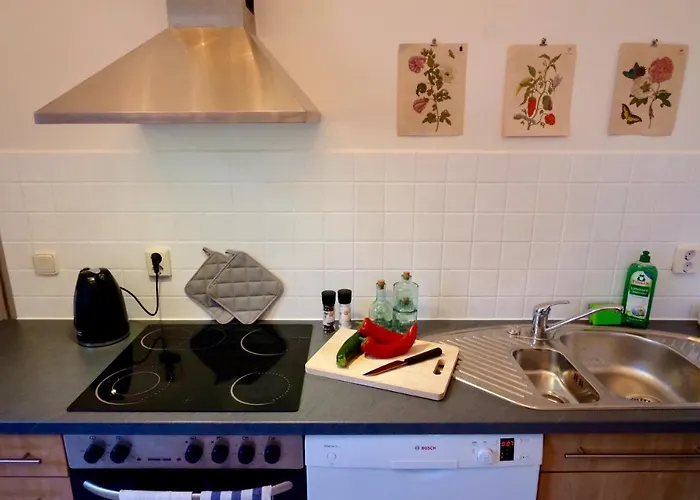 110 Qm Stadtvilla - Dem Tor Zum Harz Apartment