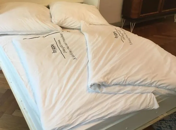 Apartment 110 Qm Stadtvilla - Dem Tor Zum Harz *